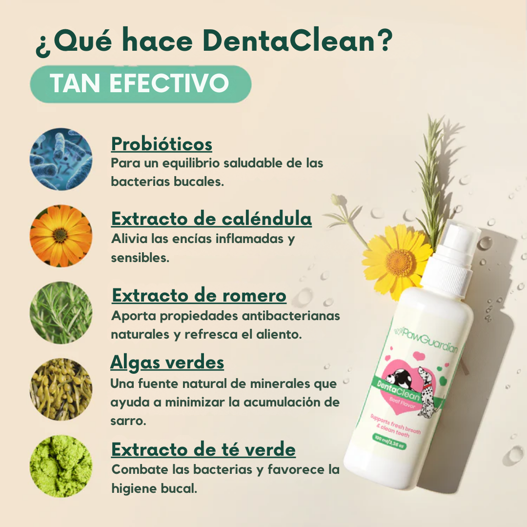 DENTACLEAN® - Mejora la salud bucal de tu perrhijo