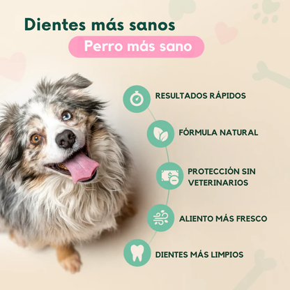 DENTACLEAN® - Mejora la salud bucal de tu perrhijo